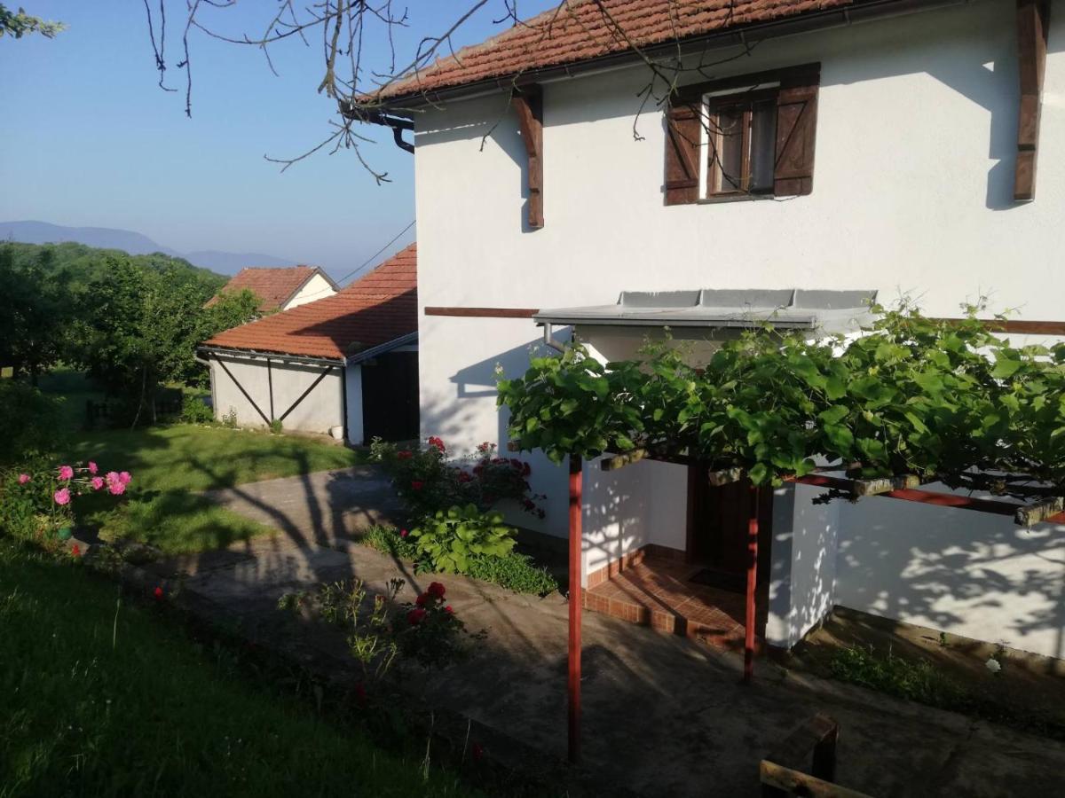 Villa Vikendica I Vajat Vrbica Kalesija Exterior foto
