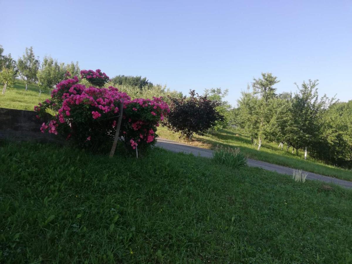 Villa Vikendica I Vajat Vrbica Kalesija Exterior foto