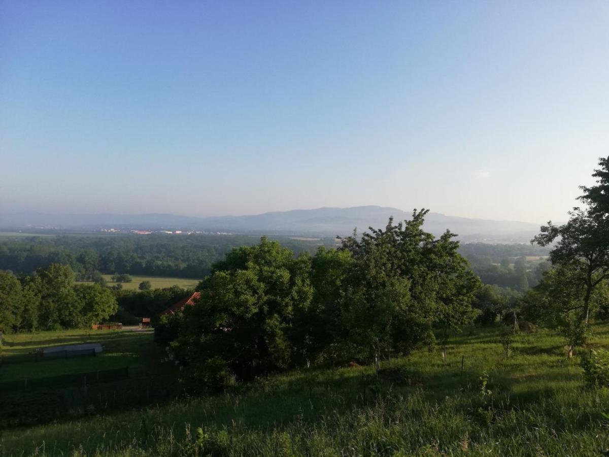 Villa Vikendica I Vajat Vrbica Kalesija Exterior foto